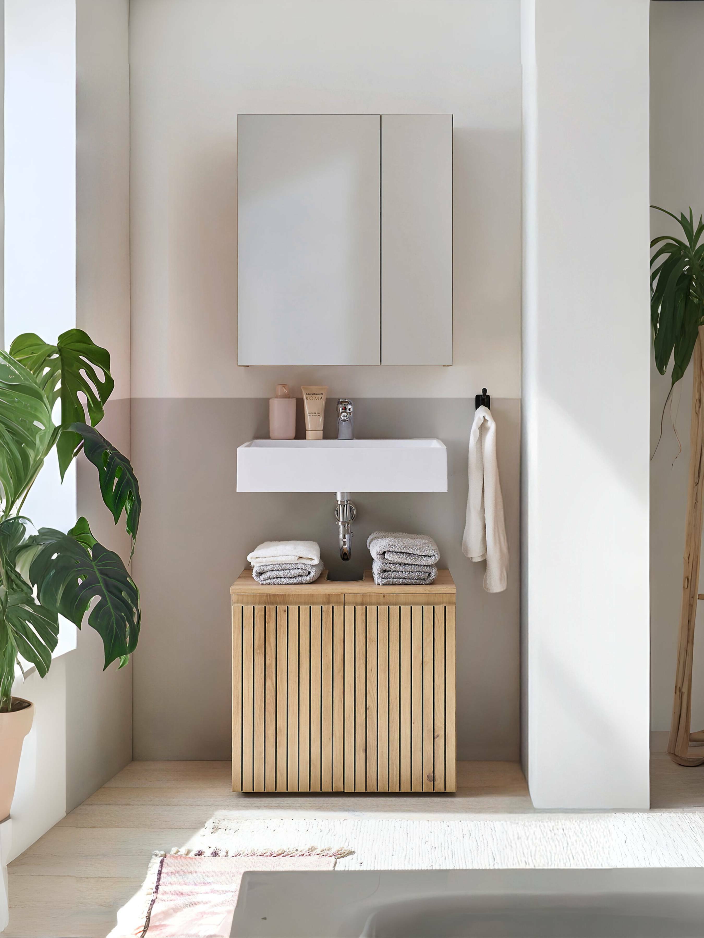 Austin 2 Door Under Sink Cabinet