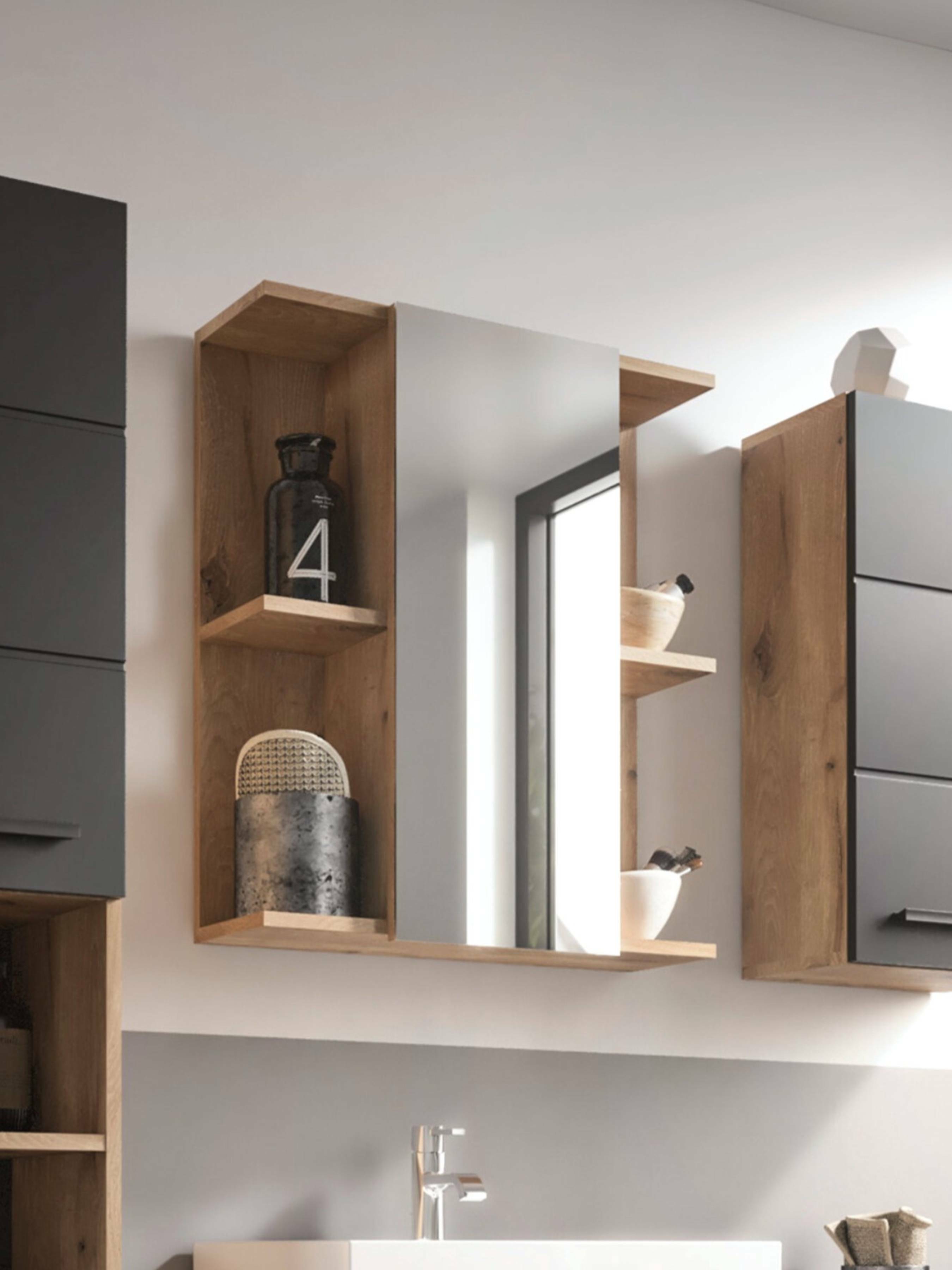 Vista Mirror Cabinet