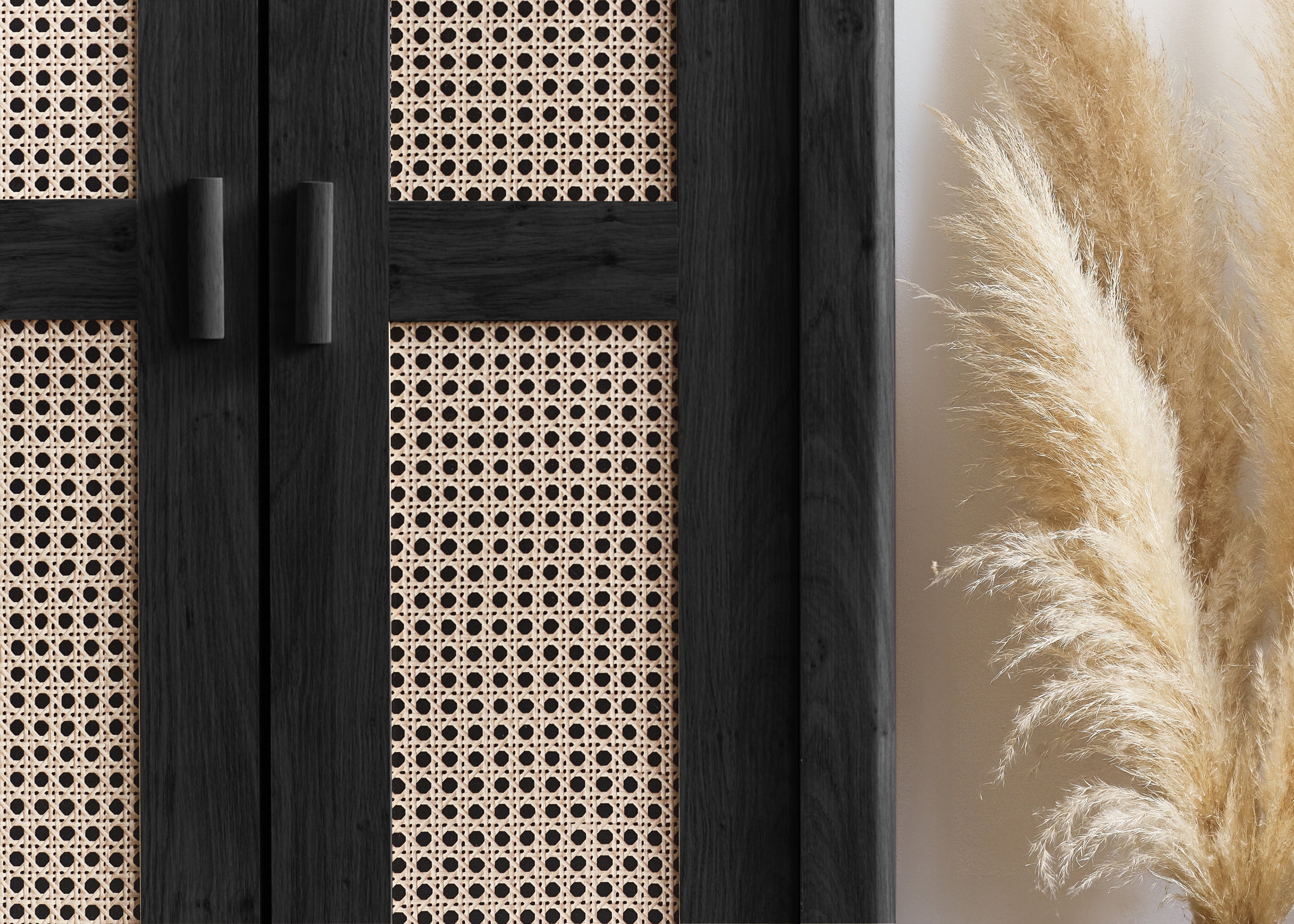 Sydney 2 Door Wardrobe - Black Ash